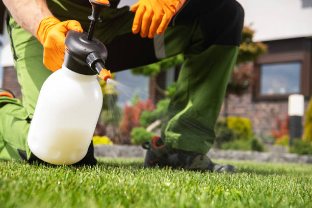 Best Exterminator Services  in Valley Falls, KS