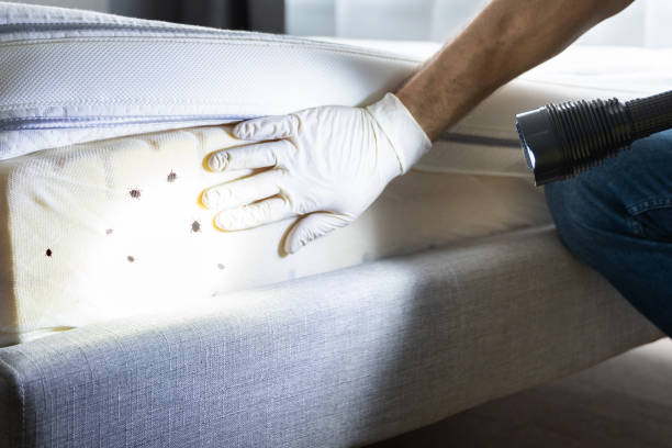 Best Pest Prevention Services  in Valley Falls, KS
