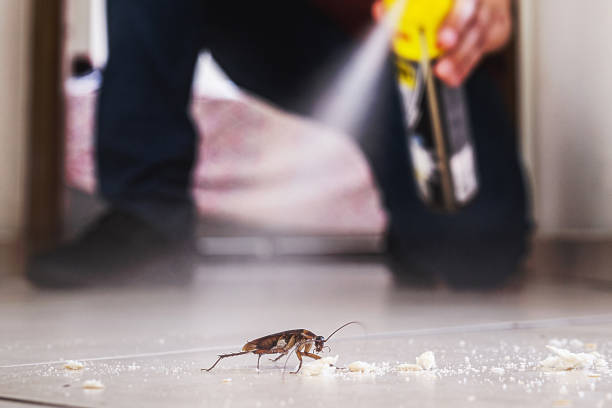 Best Commercial Pest Control Services  in Valley Falls, KS